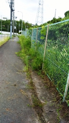 道路の清掃状況2