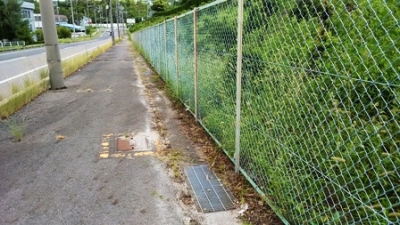 道路の清掃状況3