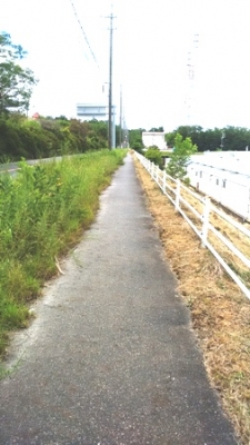 瀬戸市の道路　全行程８Km