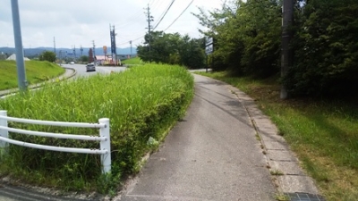 ウォーキングコース：道の駅周辺