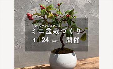 「ミニ盆栽づくり」ワークショップ