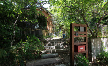 愛知県 東郷町 リノベーション<br>自然と優しい素材に囲まれたニュートラルな暮らし
