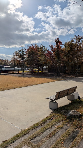 季節を感じる庭