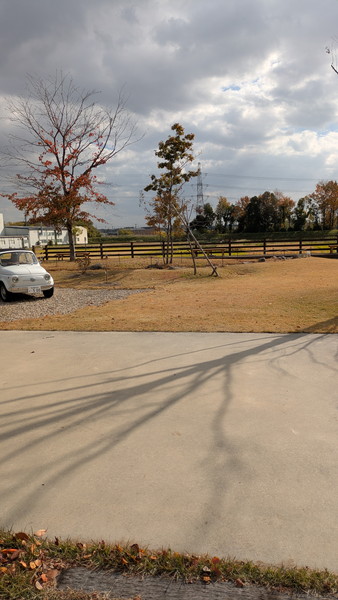 季節を感じる庭