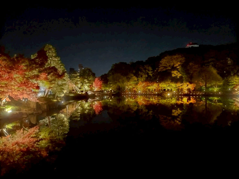 錦を纏う徳川園紅葉祭
