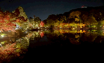 錦を纏う徳川園紅葉祭