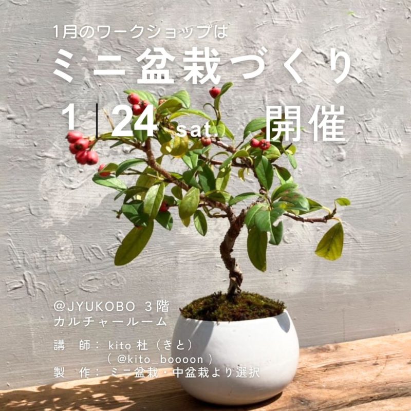 「ミニ盆栽づくり」ワークショップ