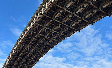 木を生かしての巧みな技術