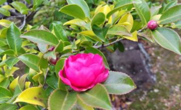 %e5%90%8d%e7%a7%b0%e6%9c%aa%e8%a8%ad%e5%ae%9a%e3%81%ae%e3%83%87%e3%82%b6%e3%82%a4%e3%83%b3-10