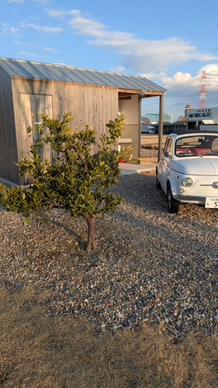 pxl_20260202_071310603