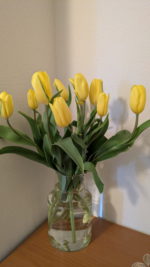 pxl_20250408_085237158-mp-1