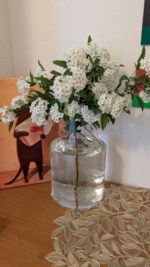 pxl_20250423_085605102-mp