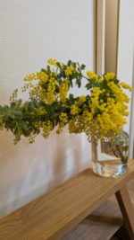 pxl_20260302_121322271-mp