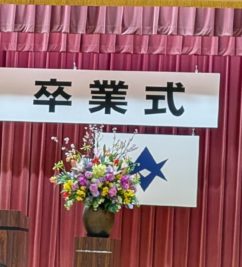 pxl_20260305_233614651-1