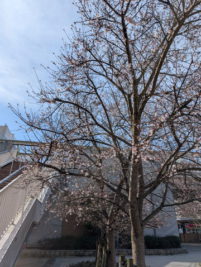 pxl_20260307_004754261-mp-1