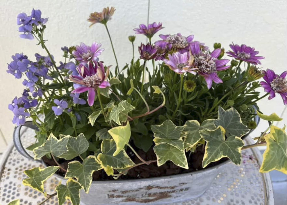 春のギャザリングを作ろう