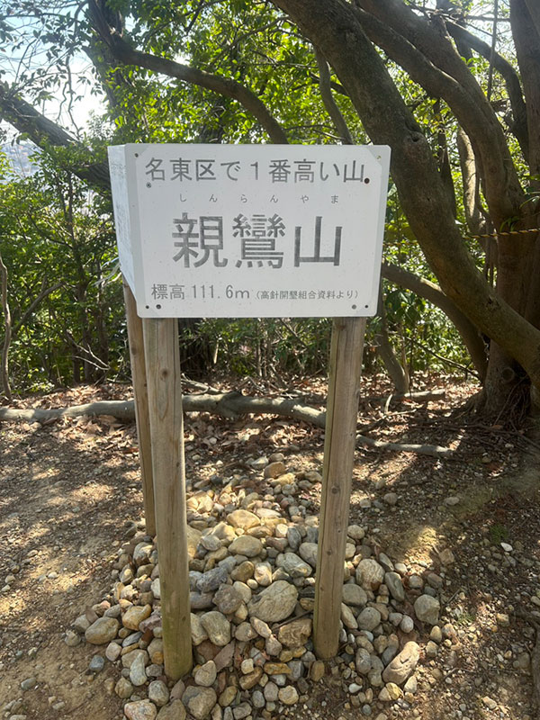 プチ登山