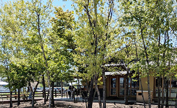 新緑のハルキテラス