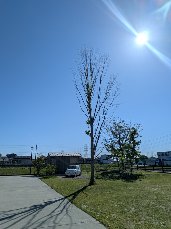 ハルキテラスの空