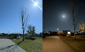 ハルキテラス・昼と夜の顔